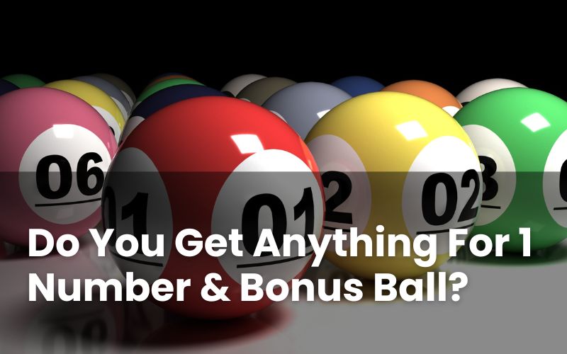 1 Number and Bonus Ball: Do You Win Anything?