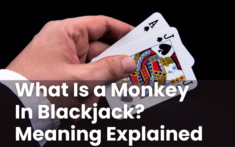 What Is a Monkey In Blackjack? Meaning Explained