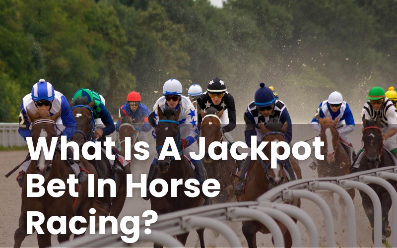 What Is A Jackpot Bet In Horse Racing?